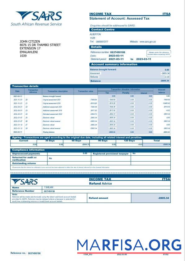 Realistic USA SARS bank statement word 2 pages example
